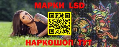 прущие грибы Тверь