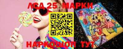 гашик Тара